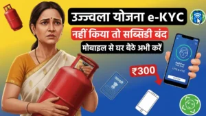 दिल्ली में 2 मार्च से Pink Saheli Smart Card लॉन्च: महिलाओं और ट्रांसजेंडर्स को मिलेगी मुफ्त बस यात्रा और कई डिजिटल सुविधाएं 8 उज्ज्वला योजना ई-केवाईसी मोबाइल से करने की प्रक्रिया और LPG सब्सिडी जानकारी