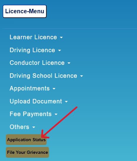 driving licence application status